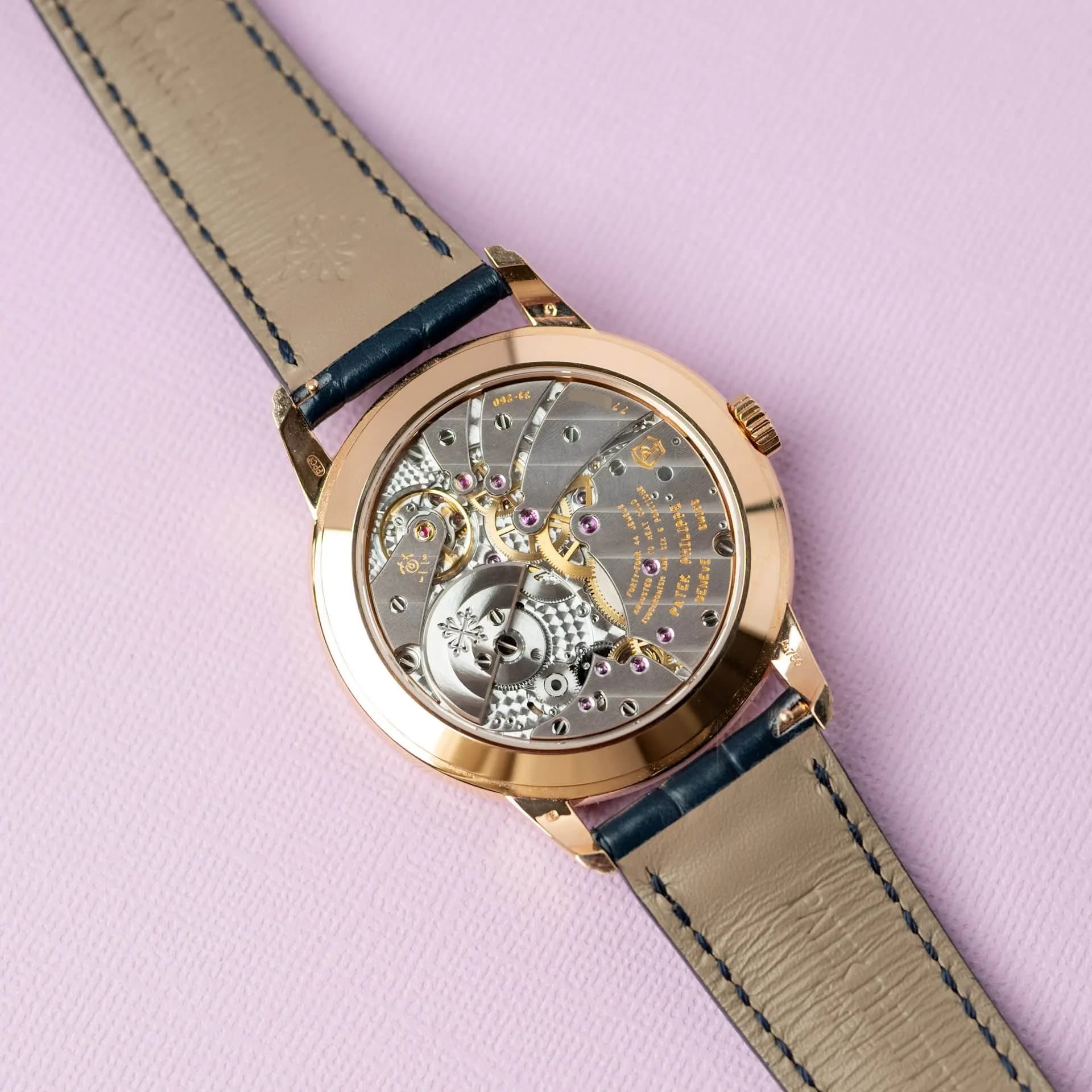 Complications 5224R-001 Alligator  – 2025