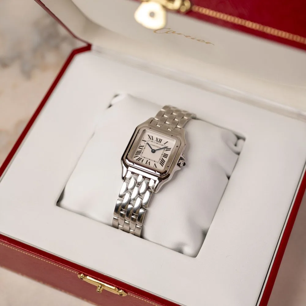 Panthère WSPN0007 undefined "Moyen Modèle" – 2025