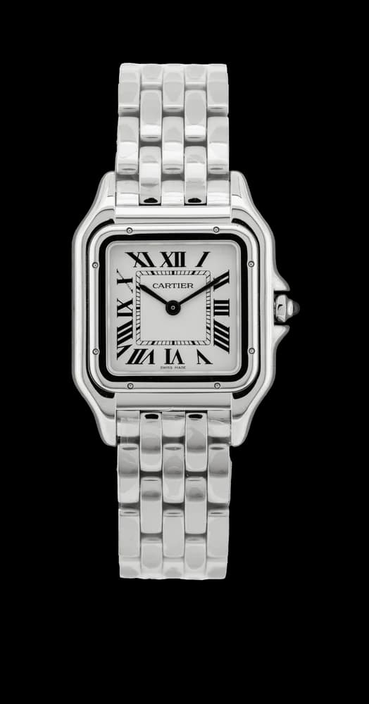 Panthère WSPN0007 undefined "Moyen Modèle" – 2025